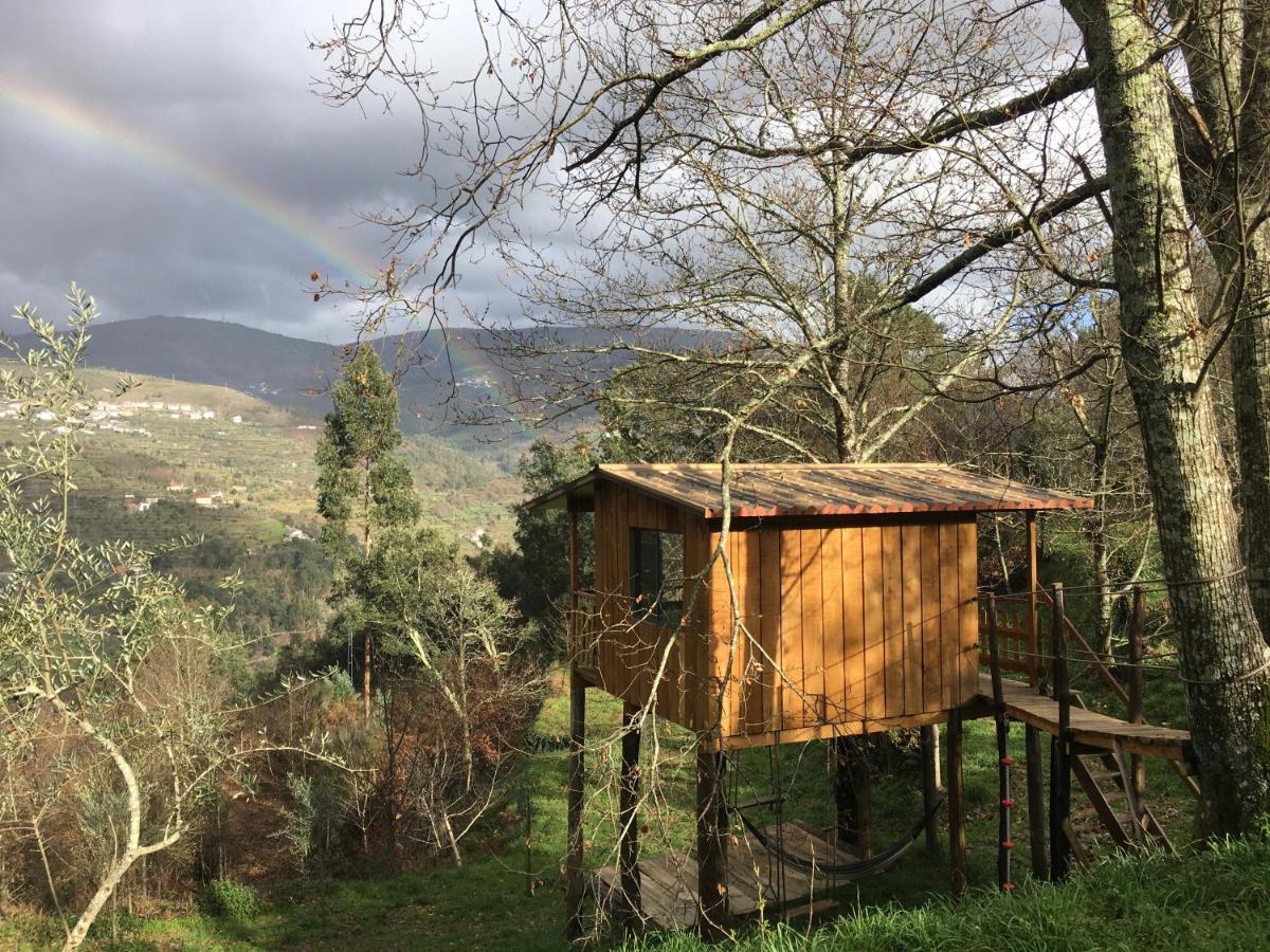 הוילה Cabril  Palheiro Do Vale Do Paiva מראה חיצוני תמונה