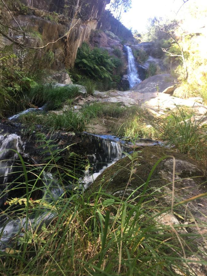הוילה Cabril  Palheiro Do Vale Do Paiva מראה חיצוני תמונה