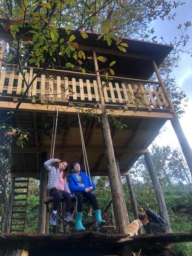 הוילה Cabril  Palheiro Do Vale Do Paiva מראה חיצוני תמונה